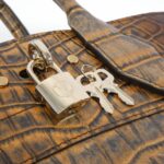 Louis_Vuitton_Exotic_Leather_City_Steamer_PM_Bag_6