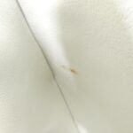 Louis_Vuitton_Exotic_Leather_Coussin_BB_Shoulder_Bag_7