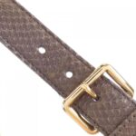 Louis_Vuitton_Exotic_Leather_Galliera_PM_N90812_Shoulder_Bag_6