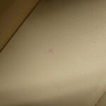 Louis_Vuitton_LV_Pont_Neuf_Soft_PM_M58727_Shoulder_Bag_10