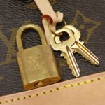 Louis_Vuitton_Monogram_Alma_BB_M53152_Bag_3