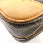 Louis_Vuitton_Monogram_Amazon_M45236_Shoulder_Bag_3