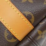 Louis_Vuitton_Monogram_Baccarat_Hobo_M14018_Shoulder_Bag_4