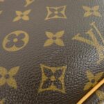 Louis_Vuitton_Monogram_Bowling_Vanity_M47270_Bag_4