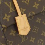 Louis_Vuitton_Monogram_Cluny_BB_M42738_Bag_5
