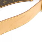 Louis_Vuitton_Monogram_Croissant_GM_M51511_Shoulder_Bag_4