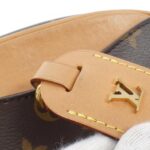 Louis_Vuitton_Monogram_Deauville_Mini_M45528_Shoulder_Bag_6