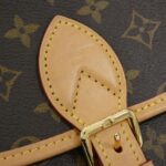 Louis_Vuitton_Monogram_Diane_PM_M46049_Shoulder_Bag_5