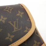 Louis_Vuitton_Monogram_Diane_PM_M46049_Shoulder_Bag_6