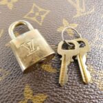 Louis_Vuitton_Monogram_Ellipse_MM_M51126_Bag_3