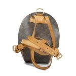 Louis_Vuitton_Monogram_Ellipse_Sac_Ado_Backpack_M51125_2