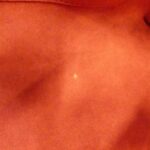 Louis_Vuitton_Monogram_Empreinte_Petit_Palais_PM_M58916_Bag_8