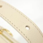 Louis_Vuitton_Monogram_Envelope_Mini_Moon_M82519_Shoulder_Bag_6