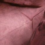 Louis_Vuitton_Monogram_Estrela_M51191_Bag_10