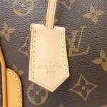Louis_Vuitton_Monogram_Estrela_M51191_Bag_6