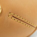 Louis_Vuitton_Monogram_Estrela_MM_M41232+J52314_Bag_5