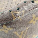 Louis_Vuitton_Monogram_Flore_Soumier_M93998_Shoulder_Bag_3