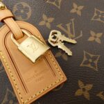 Louis_Vuitton_Monogram_Grand_Palais_MM_M45898_Bag_3