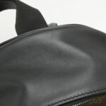 Louis_Vuitton_Monogram_Macassar_Josh_M45349_Backpack_6