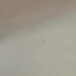 Louis_Vuitton_Monogram_Mini_Joséphine_GM_M92311_Bag_7