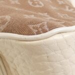 Louis_Vuitton_Monogram_Mini_Lin_Trapeze_PM_M40059_Bag_3