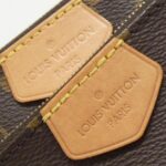 Louis_Vuitton_Monogram_Multi_Pochette_Accessoires_M44840_Shoulder_Bag_4