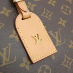 Louis_Vuitton_Monogram_Odeon_MM_M45355_Shoulder_Bag_8