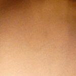 Louis_Vuitton_Monogram_Palermo_PM_M40145_Bag_10