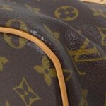 Louis_Vuitton_Monogram_Palermo_PM_M40145_Bag_3