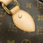 Louis_Vuitton_Monogram_Palermo_PM_M40145_Bag_5