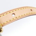 Louis_Vuitton_Monogram_Palermo_PM_M40145_Bag_6