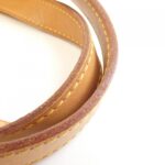 Louis_Vuitton_Monogram_Palermo_PM_M40145_Bag_6