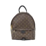 Louis_Vuitton_Monogram_Palm_Springs_Backpack_M41561_Backpack_1