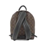Louis_Vuitton_Monogram_Palm_Springs_Backpack_M41561_Backpack_2