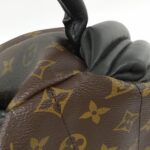 Louis_Vuitton_Monogram_Palm_Springs_Backpack_M41561_Backpack_4