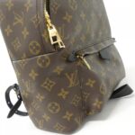 Louis_Vuitton_Monogram_Palm_Springs_Backpack_M41561_Backpack_5