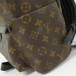 Louis_Vuitton_Monogram_Palm_Springs_Backpack_M41561_Backpack_6