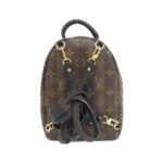 Louis_Vuitton_Monogram_Palm_Springs_Backpack_MINI_M41562_Backpack_2