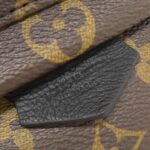 Louis_Vuitton_Monogram_Palm_Springs_Backpack_MINI_M41562_Backpack_4