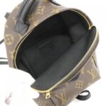 Louis_Vuitton_Monogram_Palm_Springs_Backpack_MINI_M41562_Backpack_8