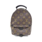 Louis_Vuitton_Monogram_Palm_Springs_Backpack_MINI_M44873_Backpack_1