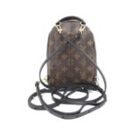 Louis_Vuitton_Monogram_Palm_Springs_Backpack_MINI_M44873_Backpack_2