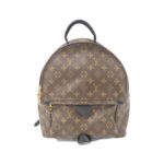 Louis_Vuitton_Monogram_Palm_Springs_Backpack_MM_M44874_Backpack_1