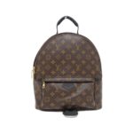 Louis_Vuitton_Monogram_Palm_Springs_Backpack_MM_M44874_Backpack_1