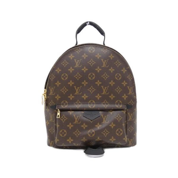 Louis_Vuitton_Monogram_Palm_Springs_Backpack_MM_M44874_Backpack_1