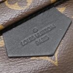 Louis_Vuitton_Monogram_Palm_Springs_Backpack_MM_M44874_Backpack_4