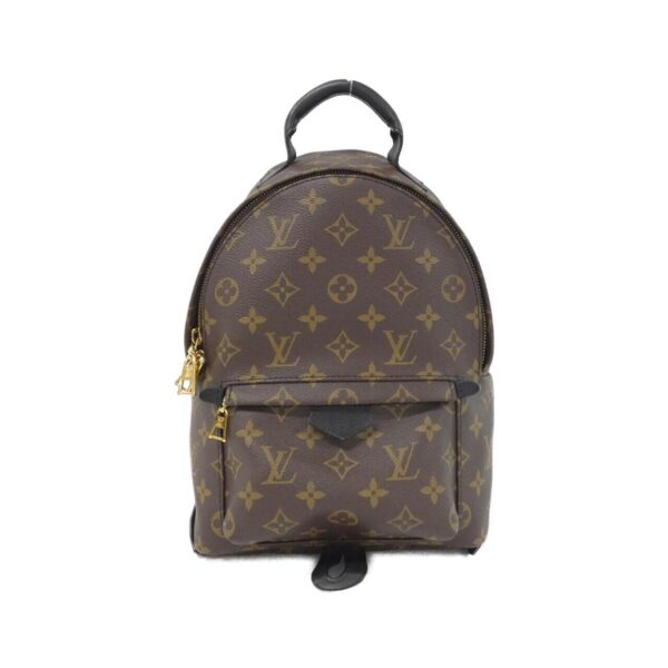 Louis_Vuitton_Monogram_Palm_Springs_Backpack_PM_M41560_Backpack_1