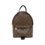 Louis_Vuitton_Monogram_Palm_Springs_Backpack_PM_M41560_Backpack_1