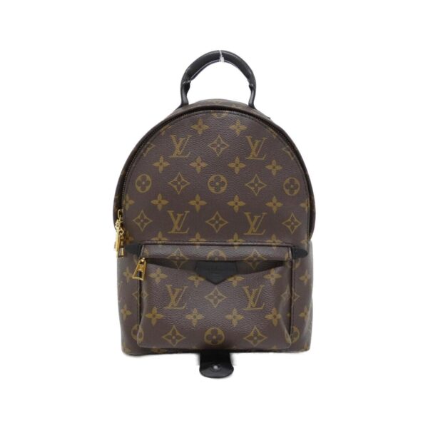 Louis_Vuitton_Monogram_Palm_Springs_Backpack_PM_M41560_Backpack_1