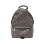 Louis_Vuitton_Monogram_Palm_Springs_Backpack_PM_M41560_Backpack_1